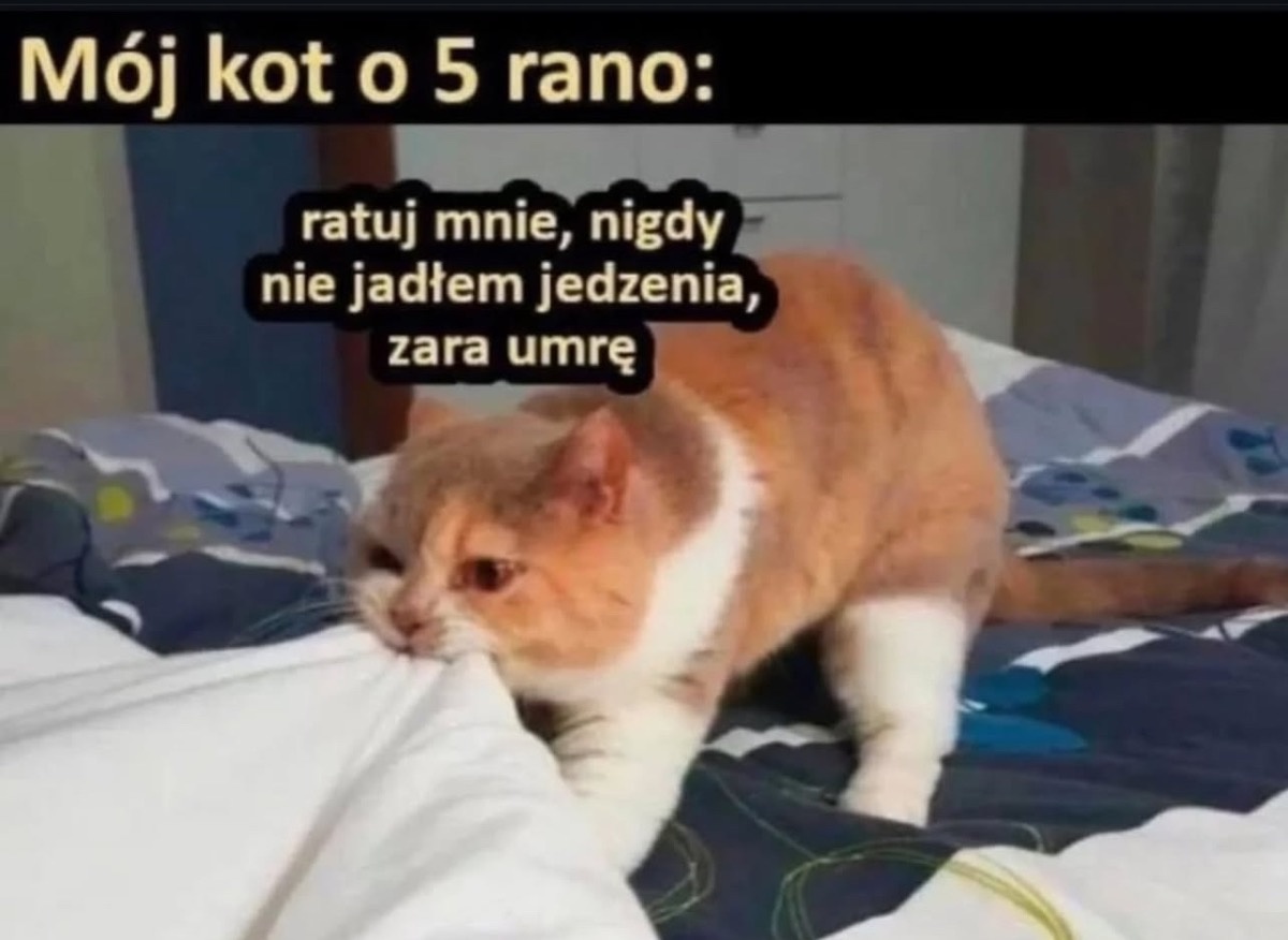 e8453bdb-e0a1-4e29-ad84-7a4fdad6526b