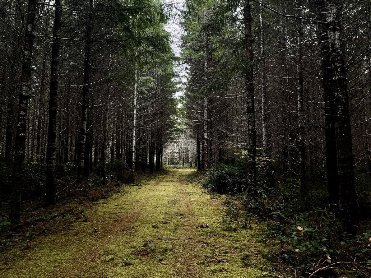 5e860e24-f54f-4b04-823f-fc5f71a84ae3