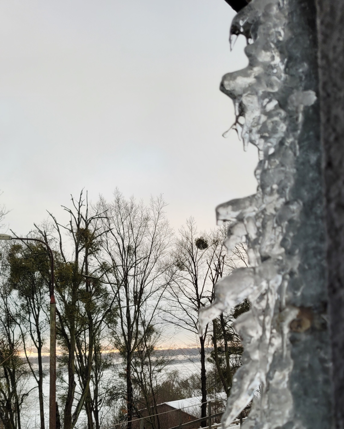 101545cc-404e-46b8-ab20-44890ba36ee8