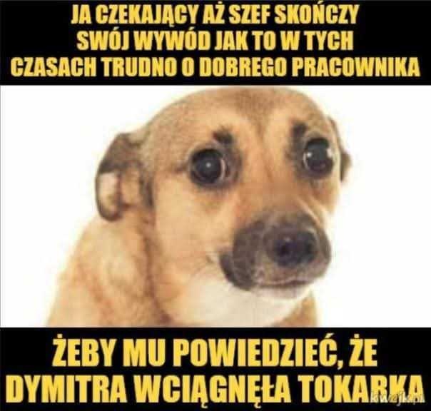 ba315de5-7e4d-4ccf-a908-6b5d529b8c52