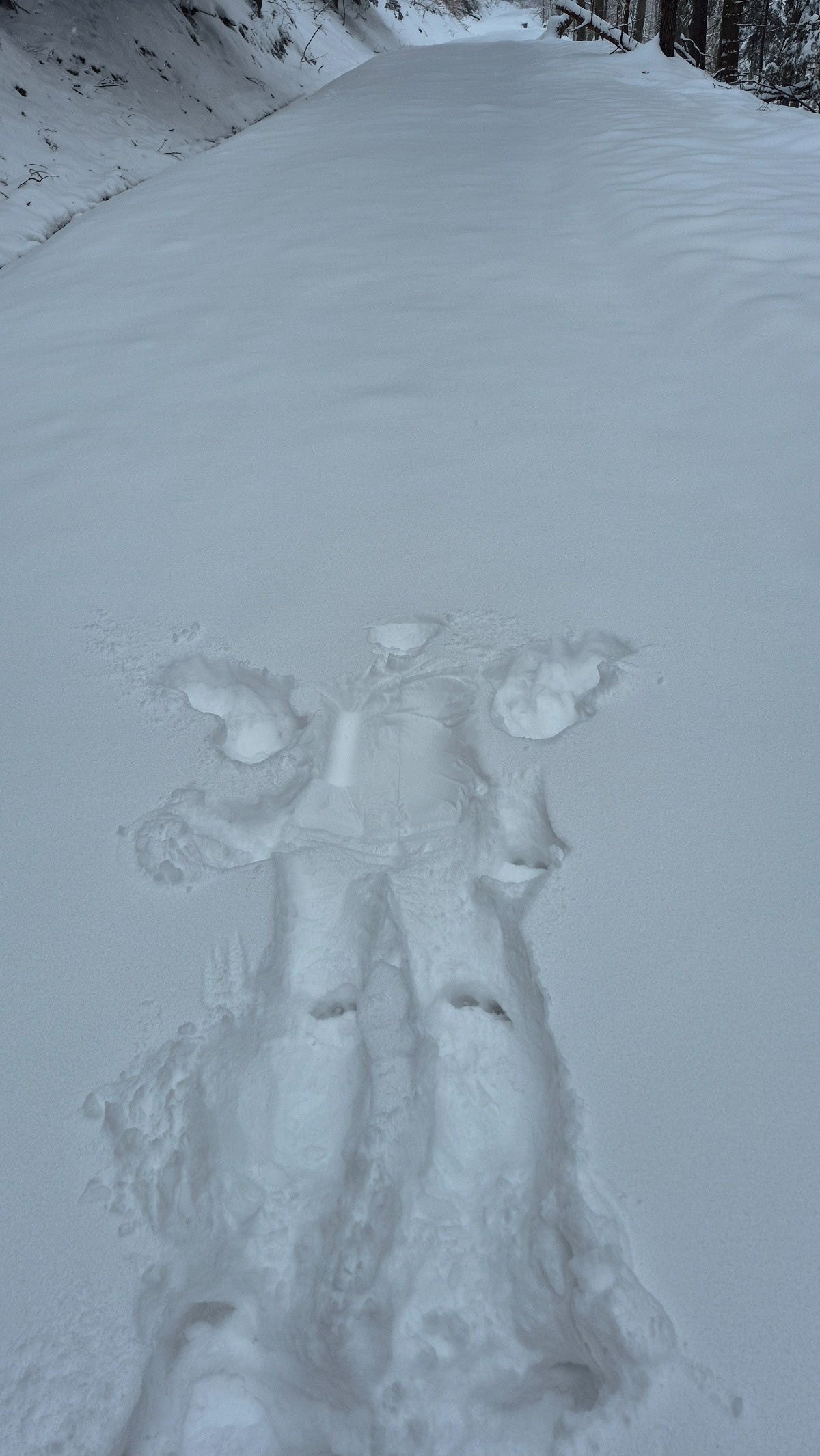 6c4157d7-7434-4e31-ad9e-426b38c2f818