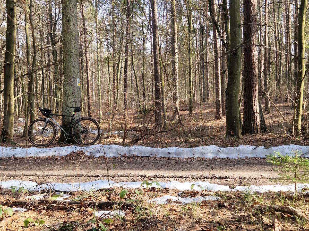 db428b7c-8e47-43ba-aba6-df3193fecc6d