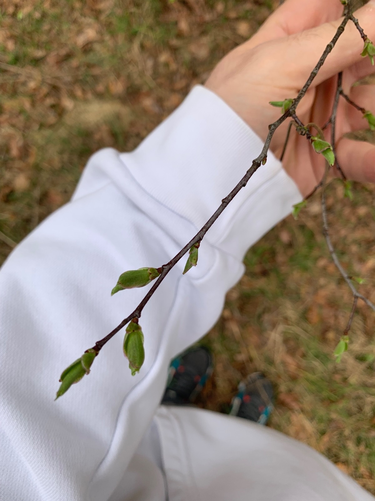 5abfec16-84e3-4c52-877e-3a45c65d5773