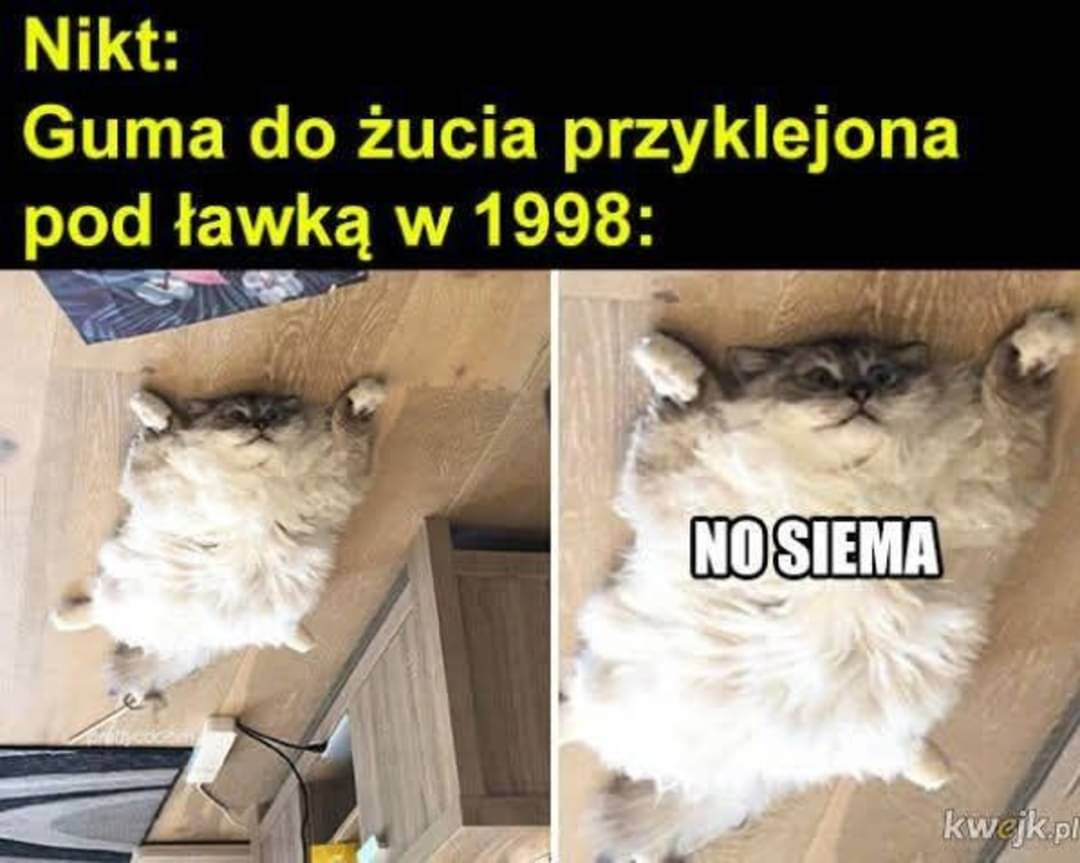 d10ecba3-8c23-4ba7-a8e4-8147805de18e