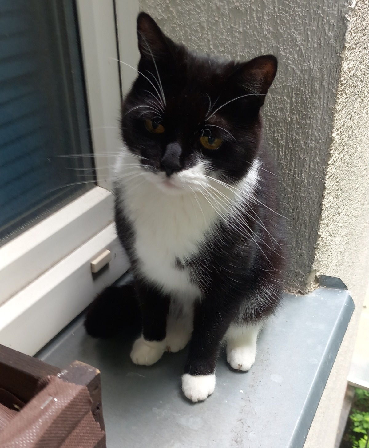 c0b7b790-136a-44ec-bdb1-f09d4ac00c05