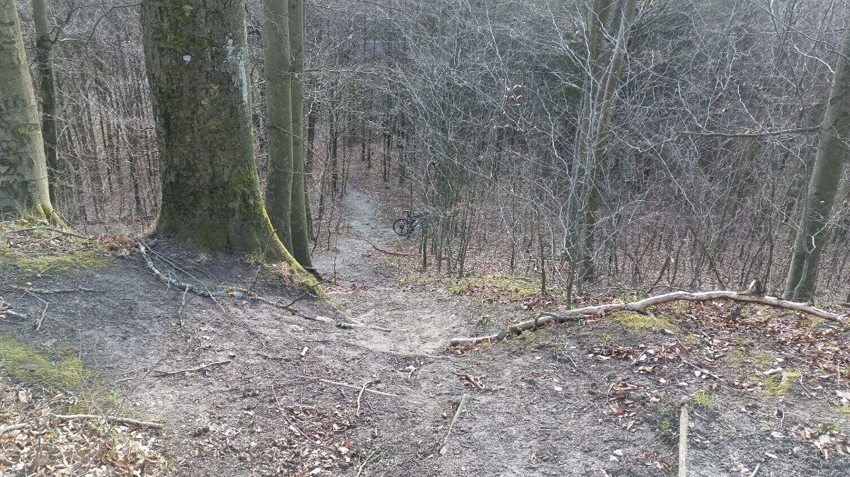 94794399-0877-46a5-8ee1-66a45ee40975