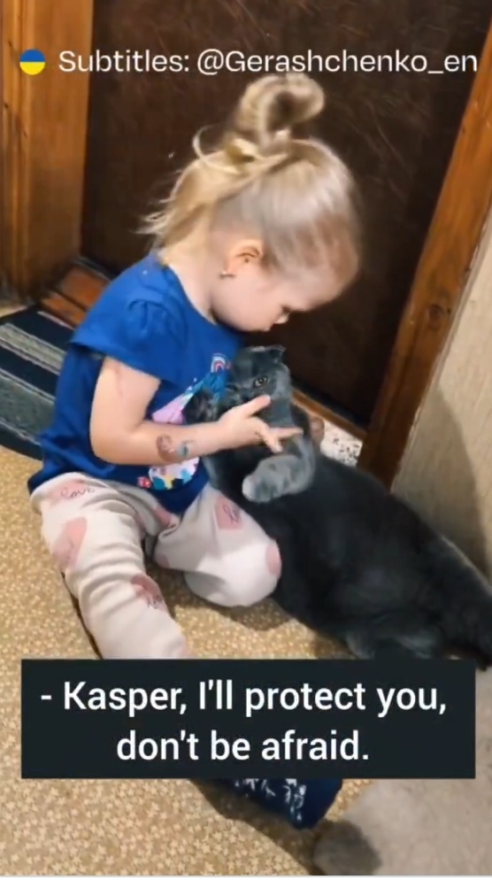 8afe18c3-f26f-4a4a-84e1-d9eec0794e12