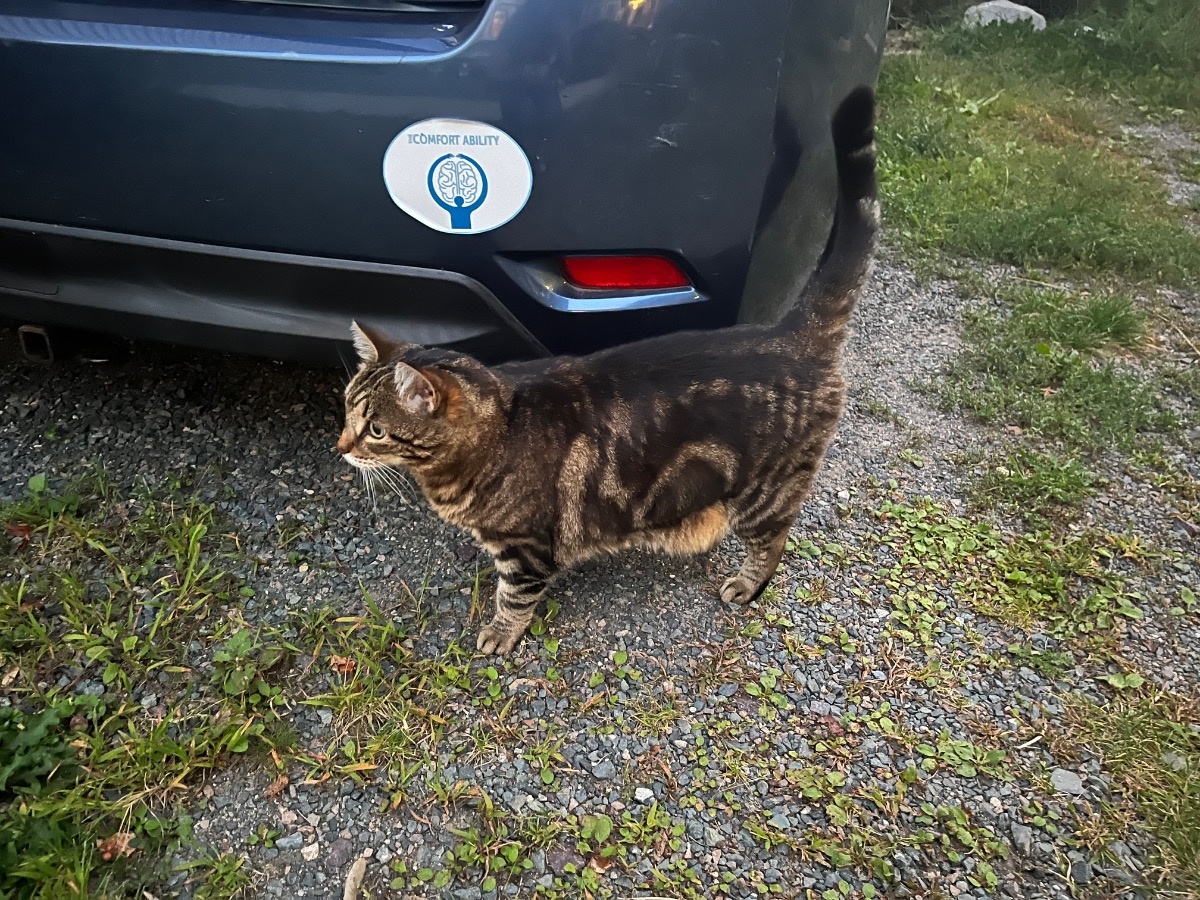 1b05650c-e432-49ba-a697-599a4bc51b1b