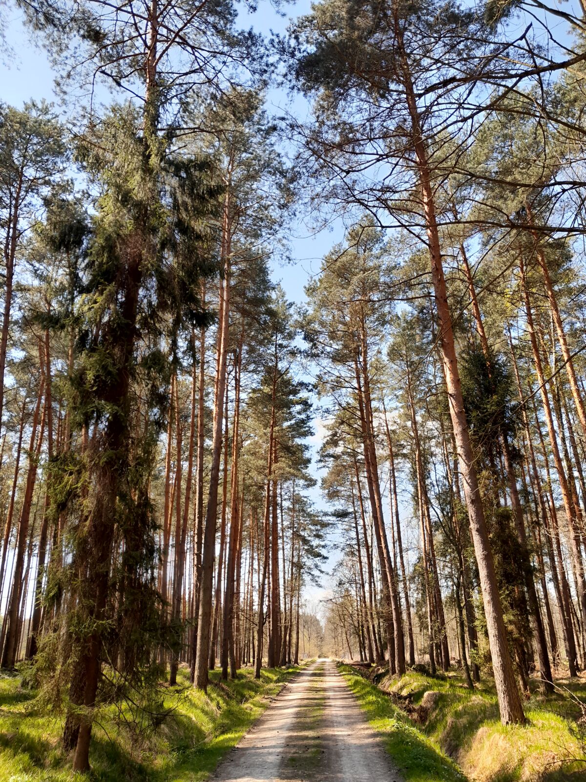 5d0e2a3d-8333-409e-8f6b-a4b5002c3b55