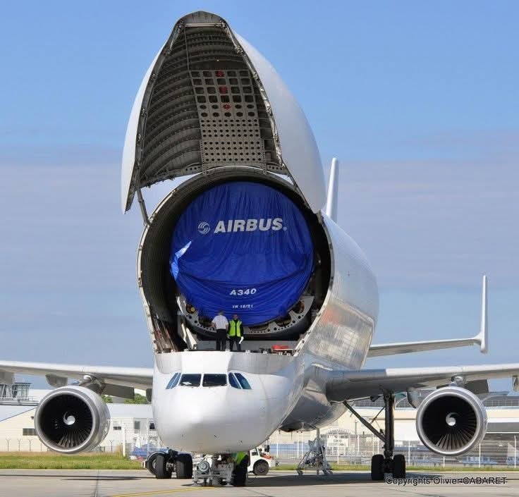 dcf4491b-fddf-45bc-bb15-02c9bf120abb