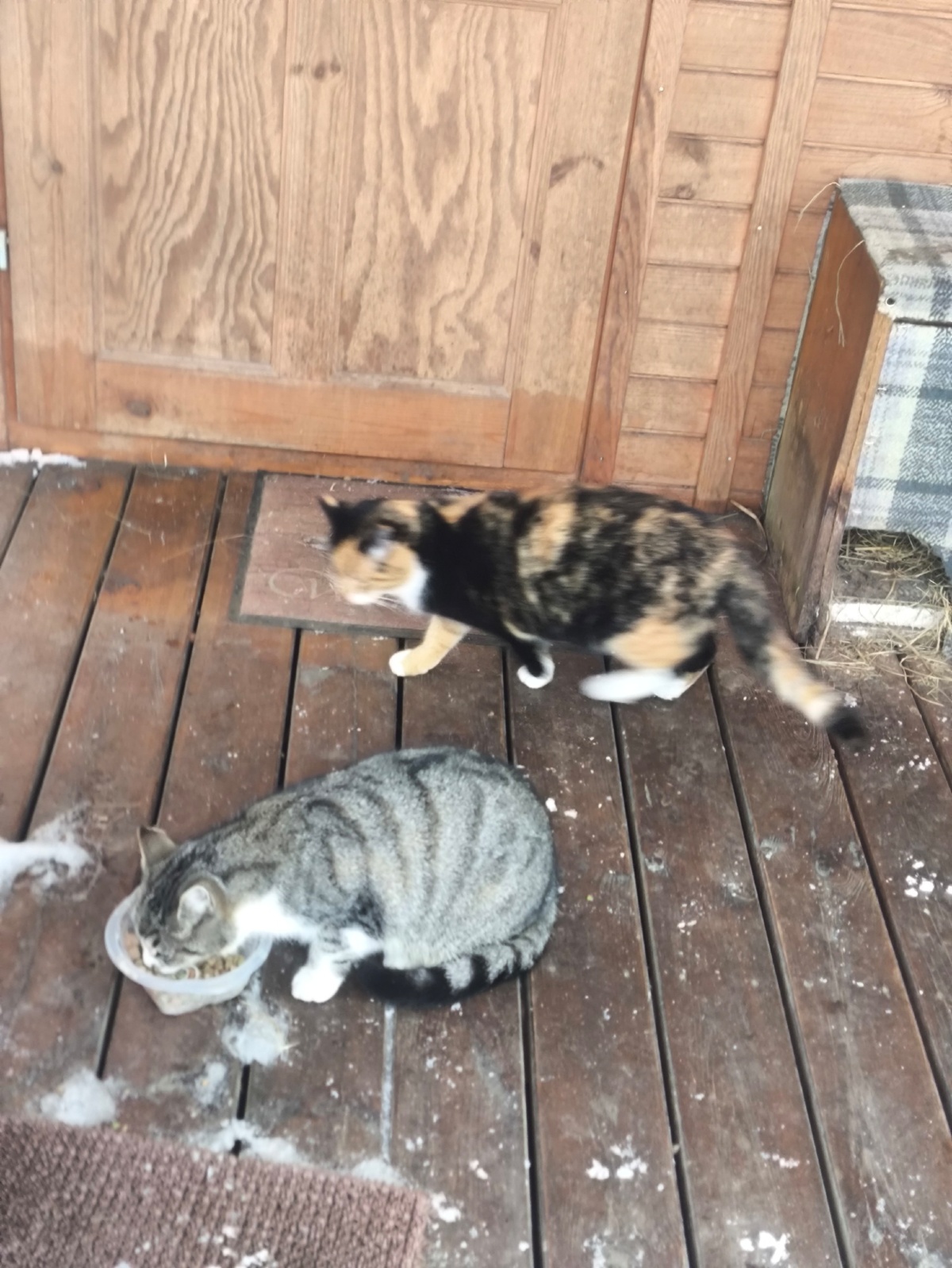 1d7f3474-286e-458c-929b-652f7ab36934