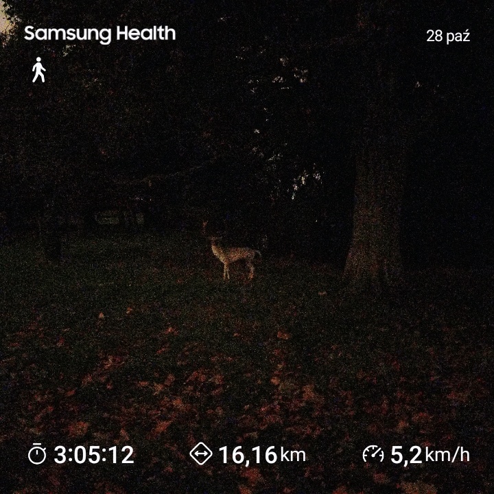 8ff2b4a8-926b-4ff4-9e1b-c89a5d33ec7c