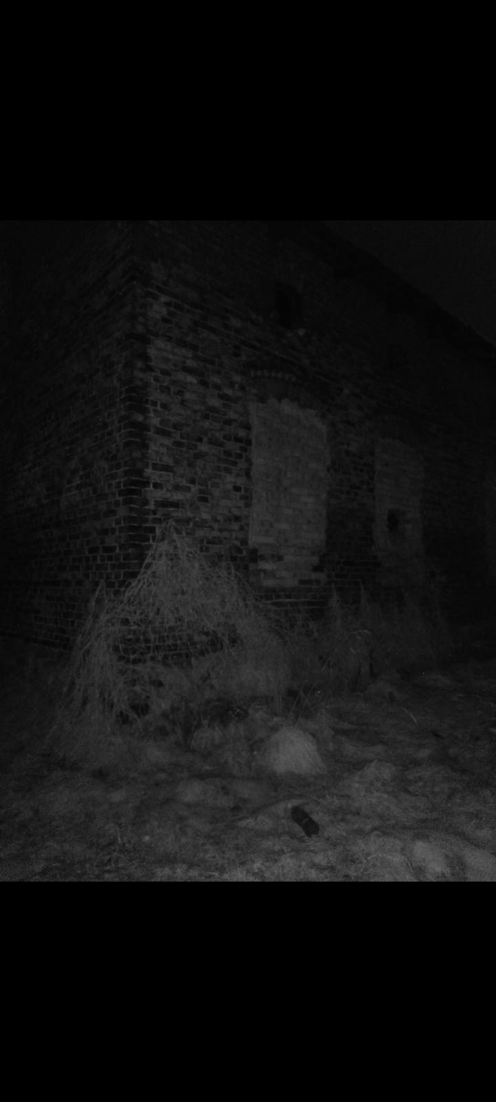 2906e843-c4aa-4b67-a8b6-dac0a2efda8f