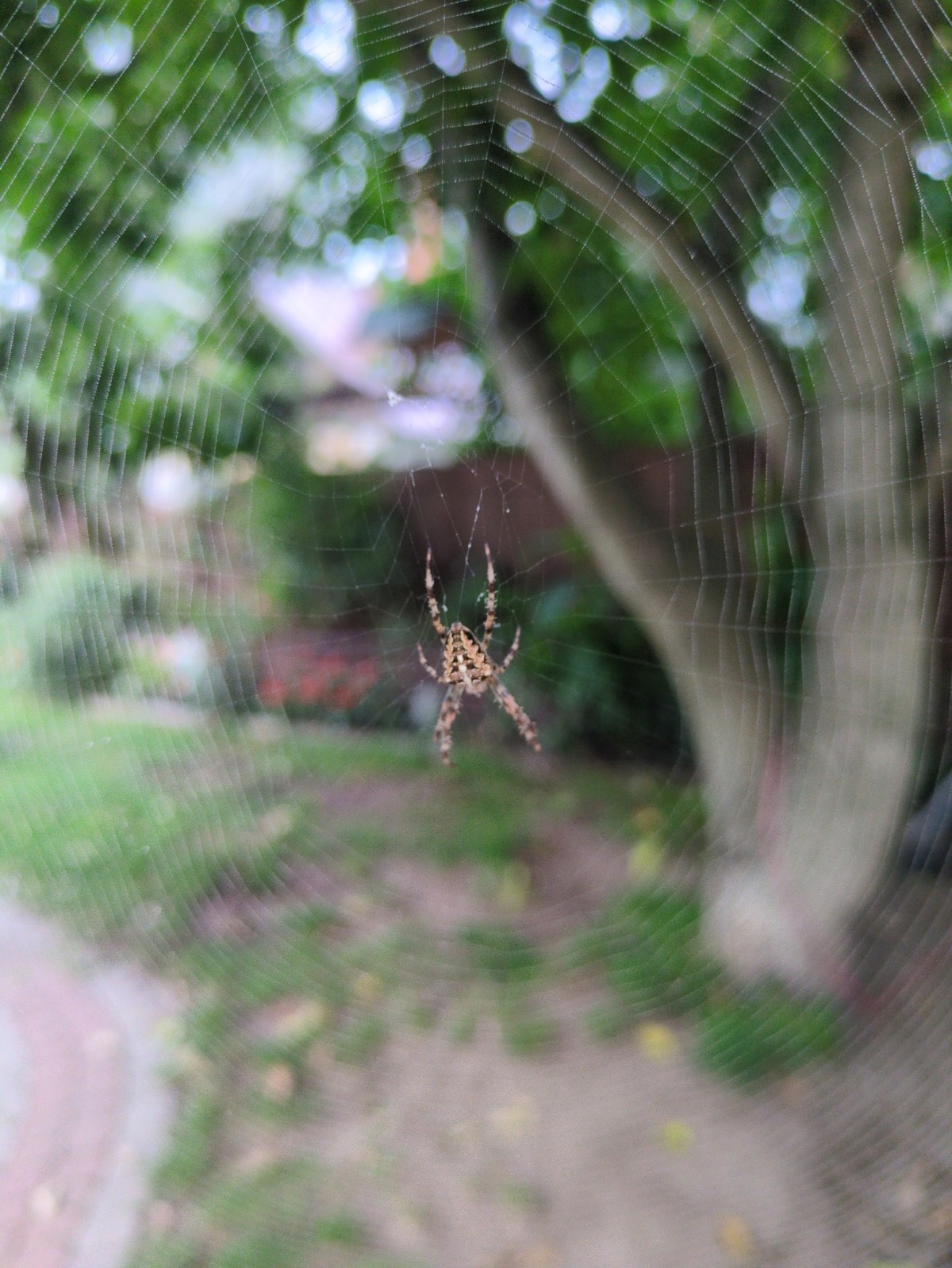 03c54d8a-08b9-4e26-bcfc-287515acfe1d