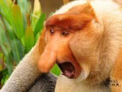 455c2c45-1abd-4719-852a-f7cbfc1a1a7b