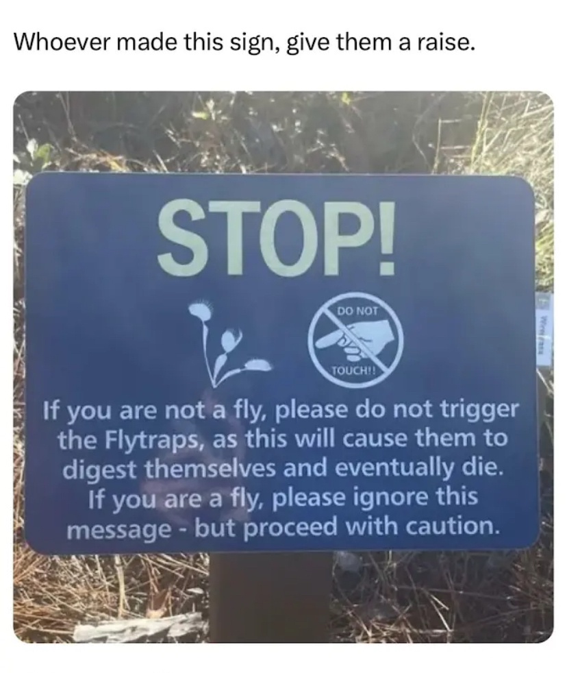 509544d8-5594-4ae5-a287-7a7acf6b3c9d