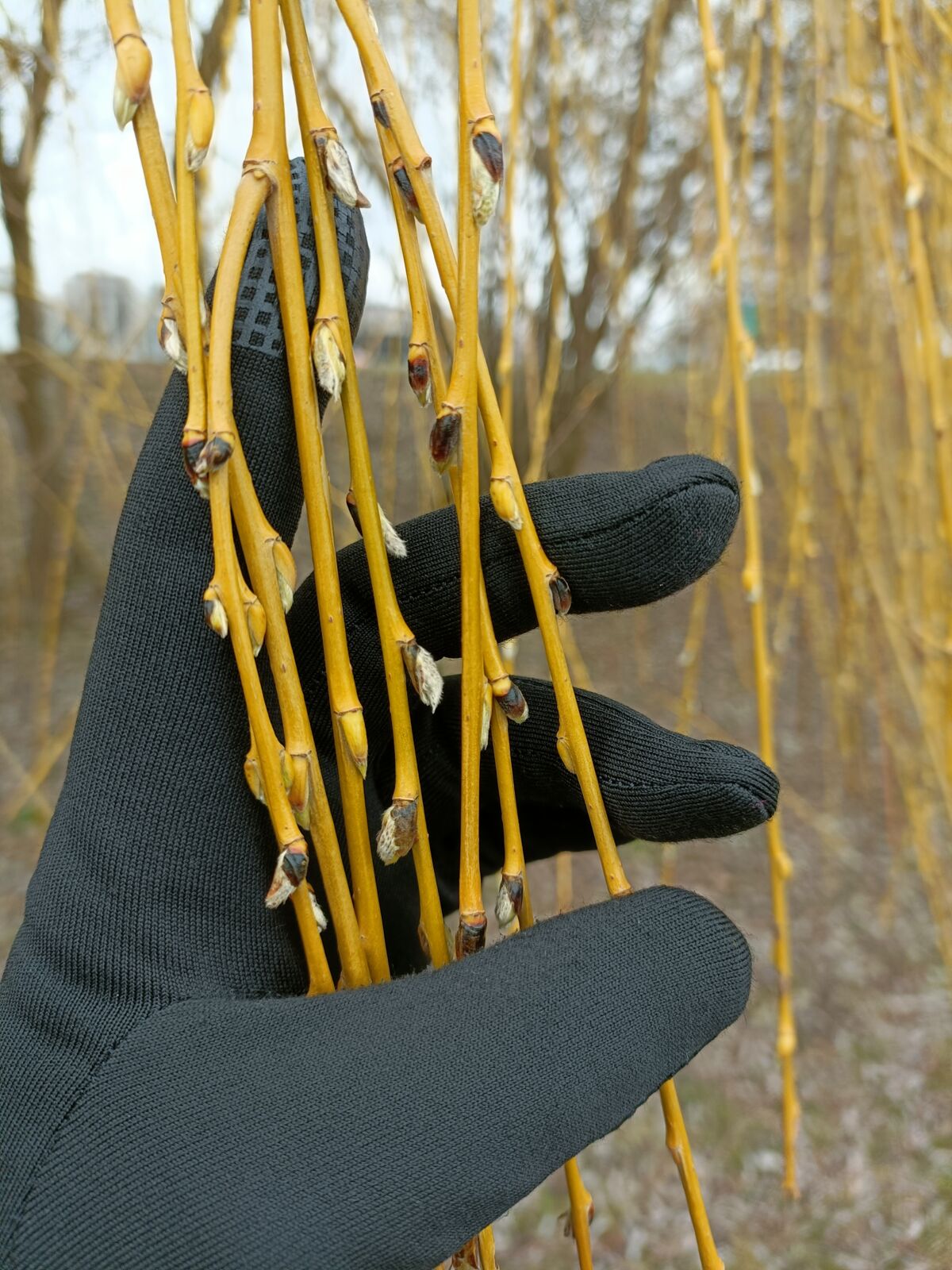 e9dc56ad-e6e4-45f4-854b-380dfc179ed2