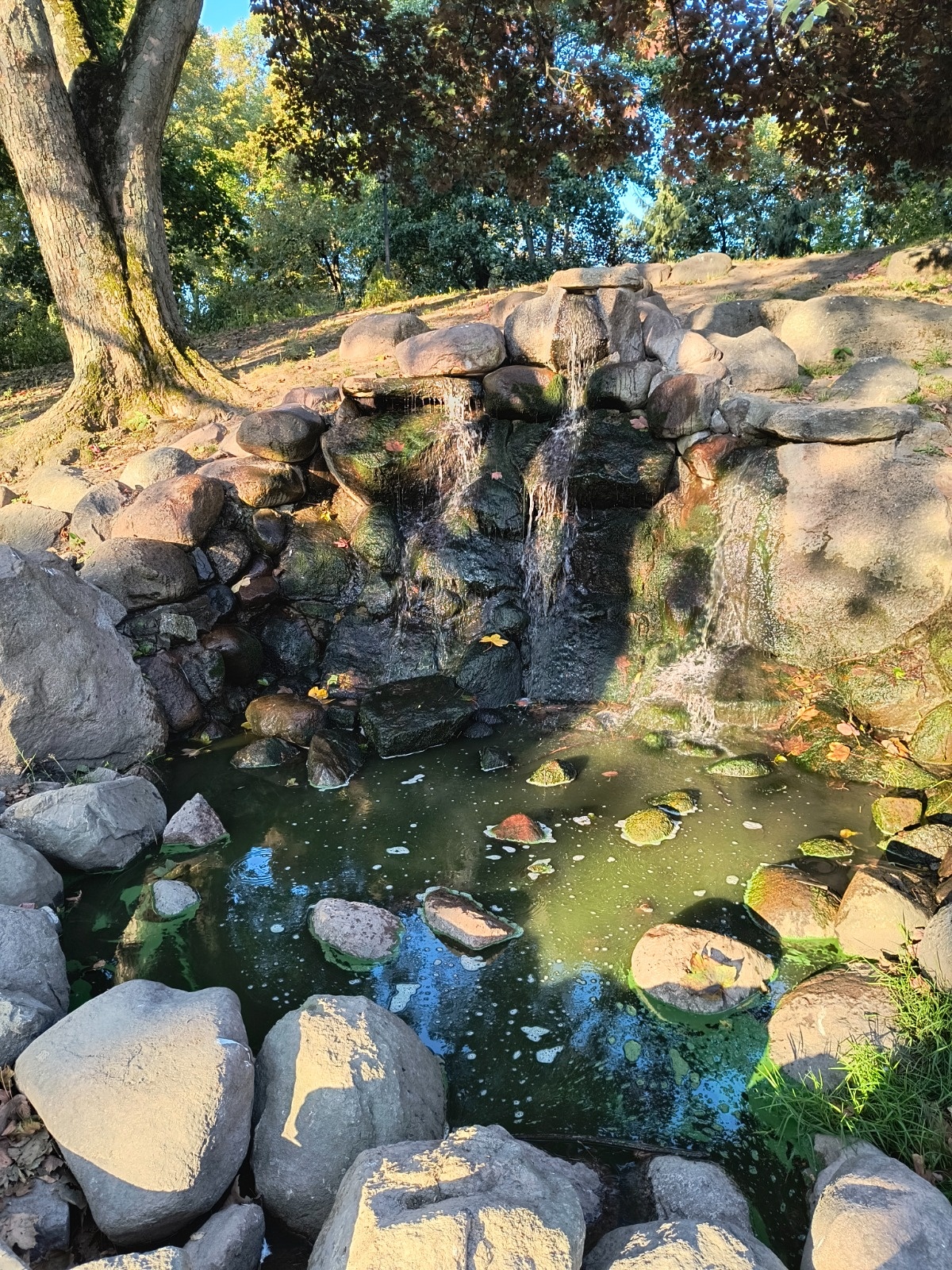 5b9e7e78-5718-44ae-8e0a-ed65d59ae151