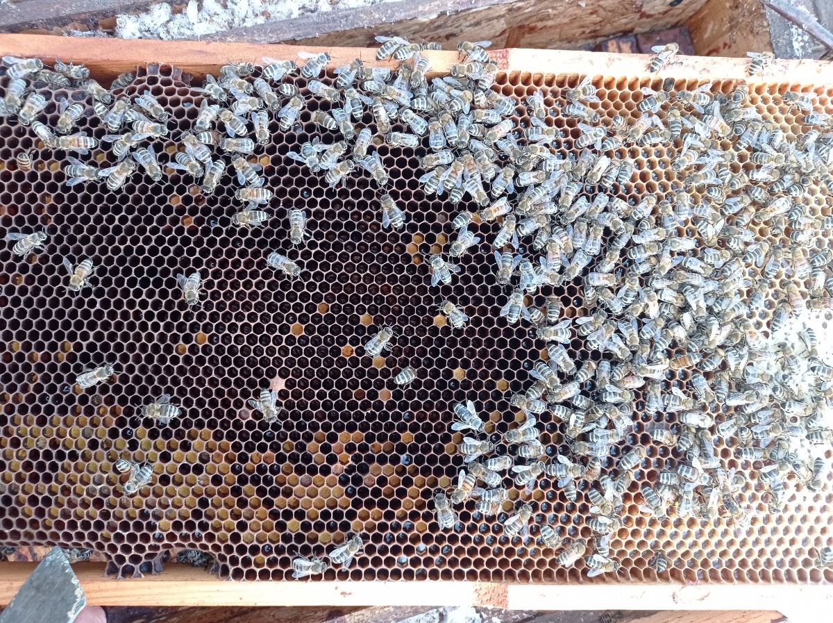 36887f65-e5fe-4281-a6a6-a20a9c705d6e