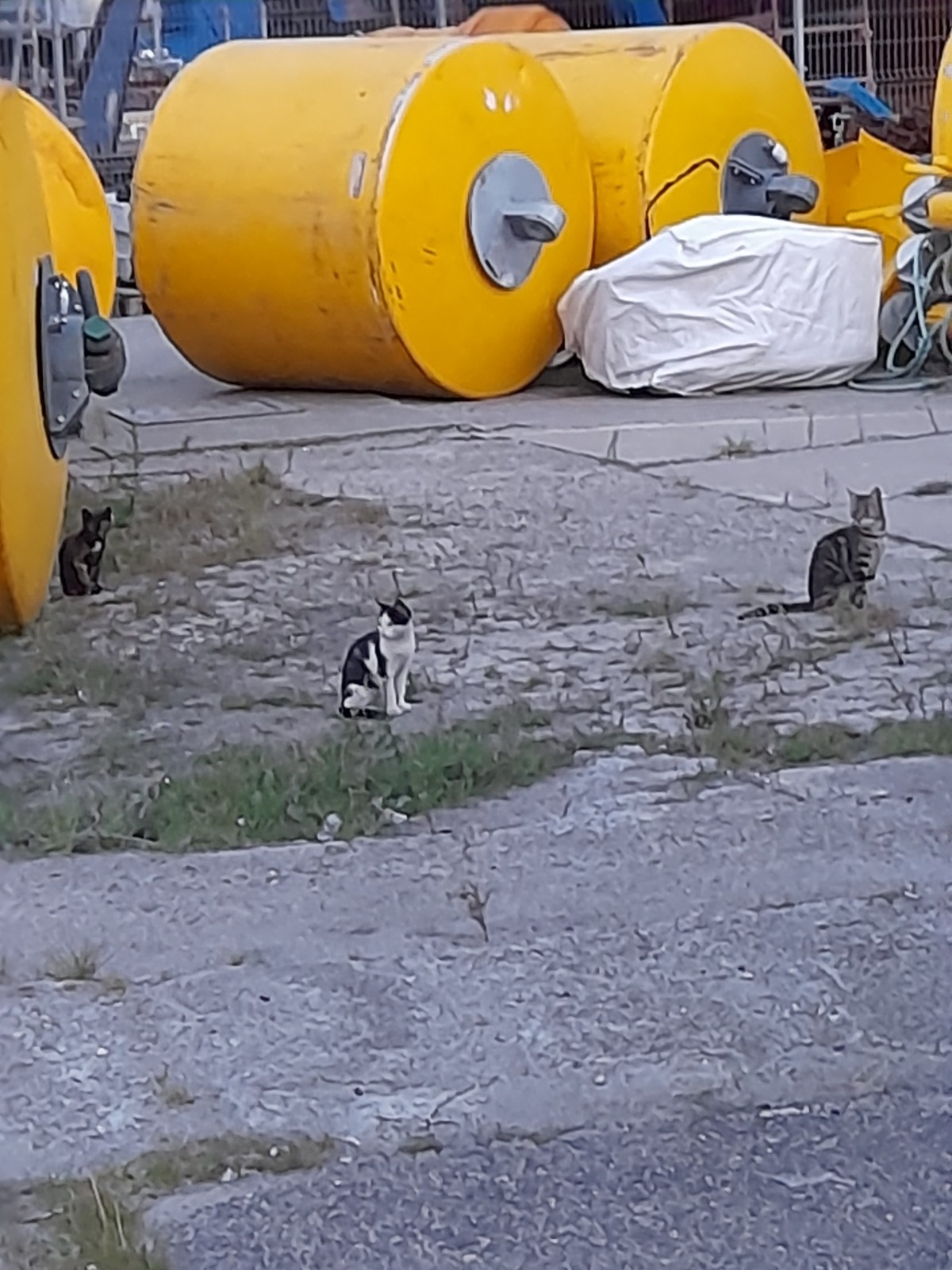 17a13fa2-157f-435c-9282-861b694b190d