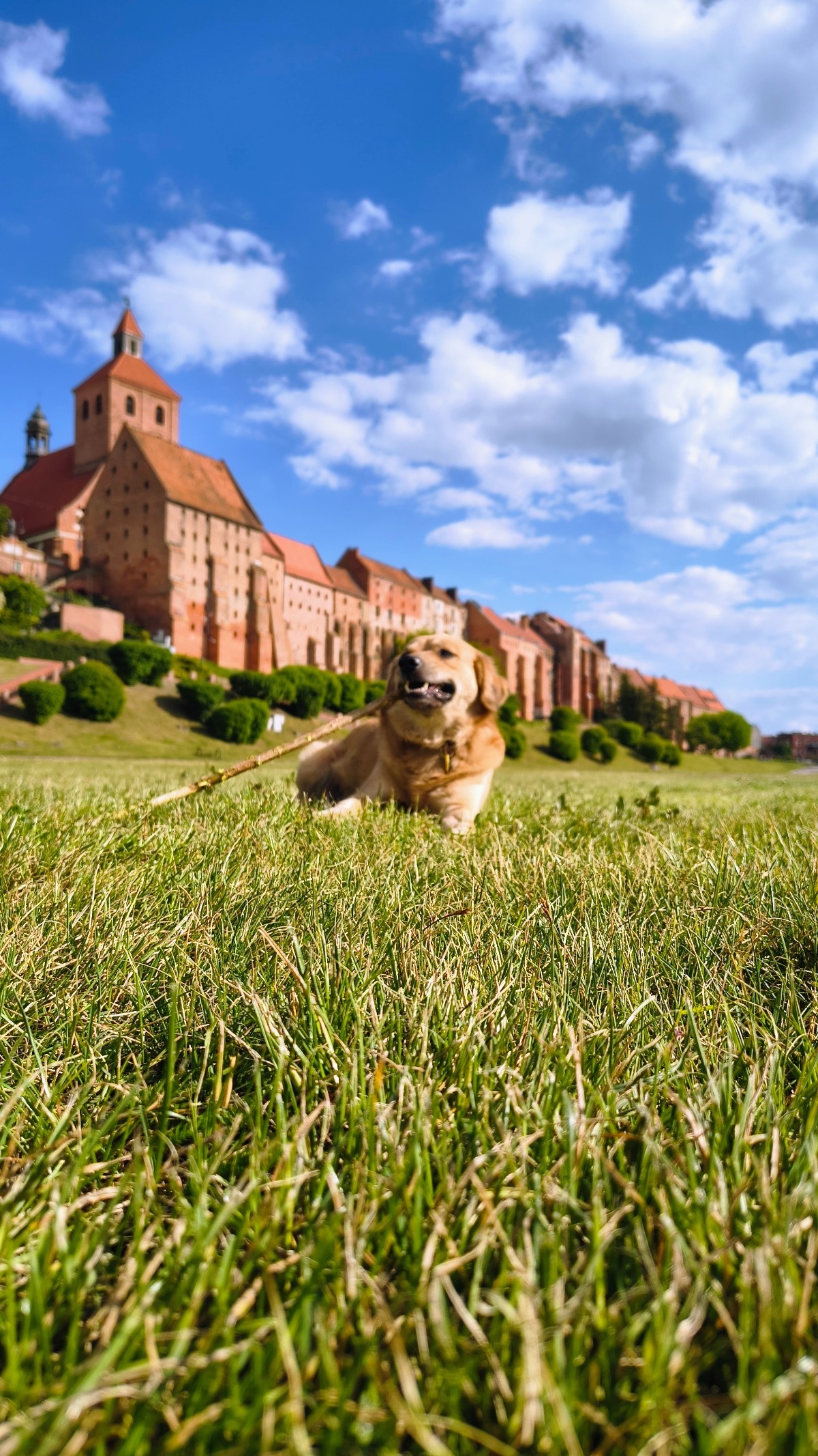 6110c676-b778-406e-a52f-84e86618c499