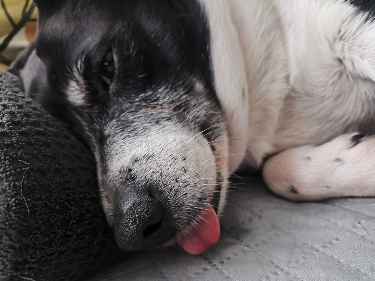 11458e58-c368-417e-a1fd-5caf2ec4b30e