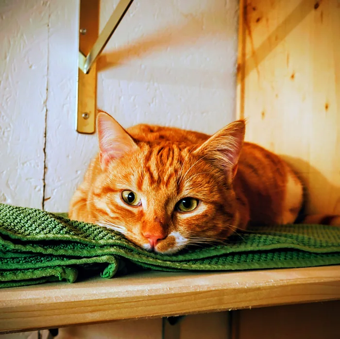 ce0a3116-d693-4808-80b3-1390d88db8eb