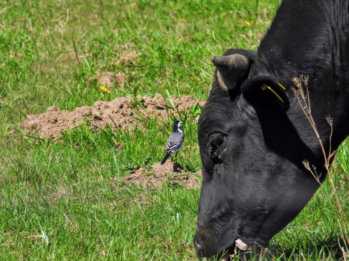 2ebb0ee9-1fdc-43b9-b17a-2e731059f5c4