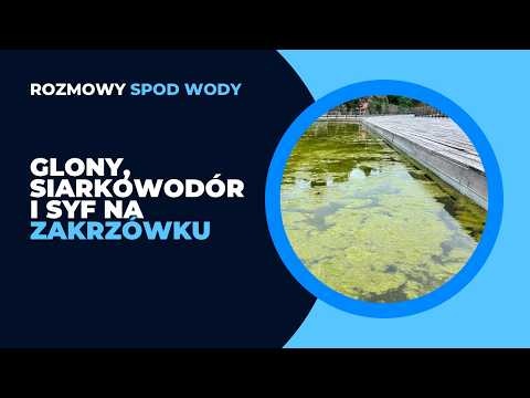 Rozmowy Spod Wody: Syf, smród, glony i siarkowodór na Zakrzówku! - Artur Sobesto, Marcin Jastrzębski