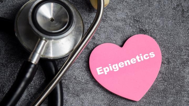 Prof. Wojdacz: polska epigenetyka rośnie w siłę, ale potrzebujemy więcej młodych naukowców