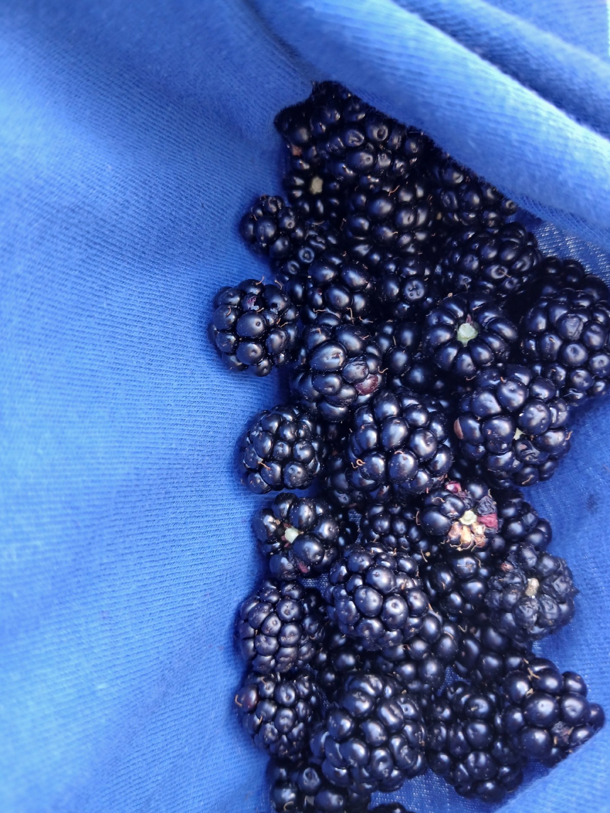 6e77870d-8a8c-42d5-9899-1b37d3487c46