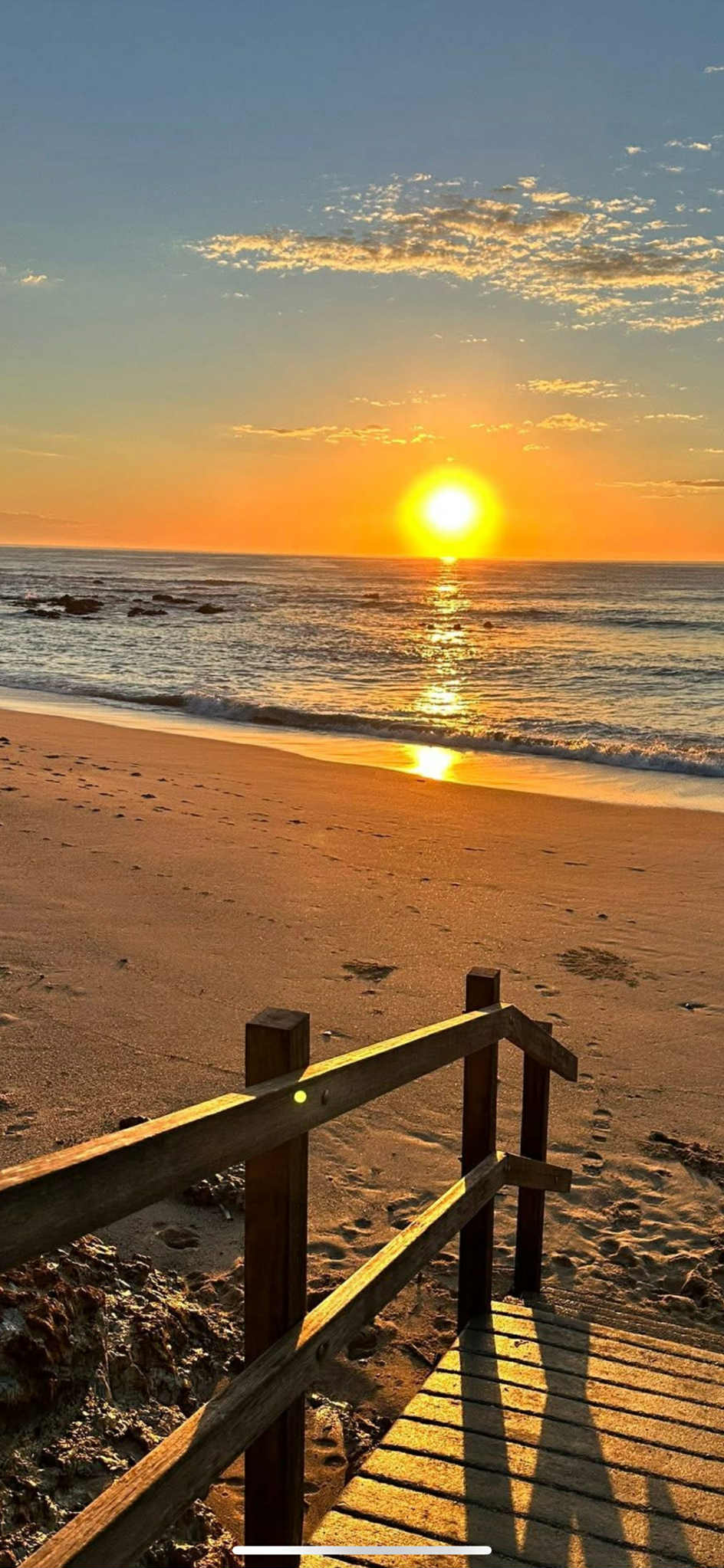 bdfc6eeb-2c81-455c-a59e-37891f2196ba