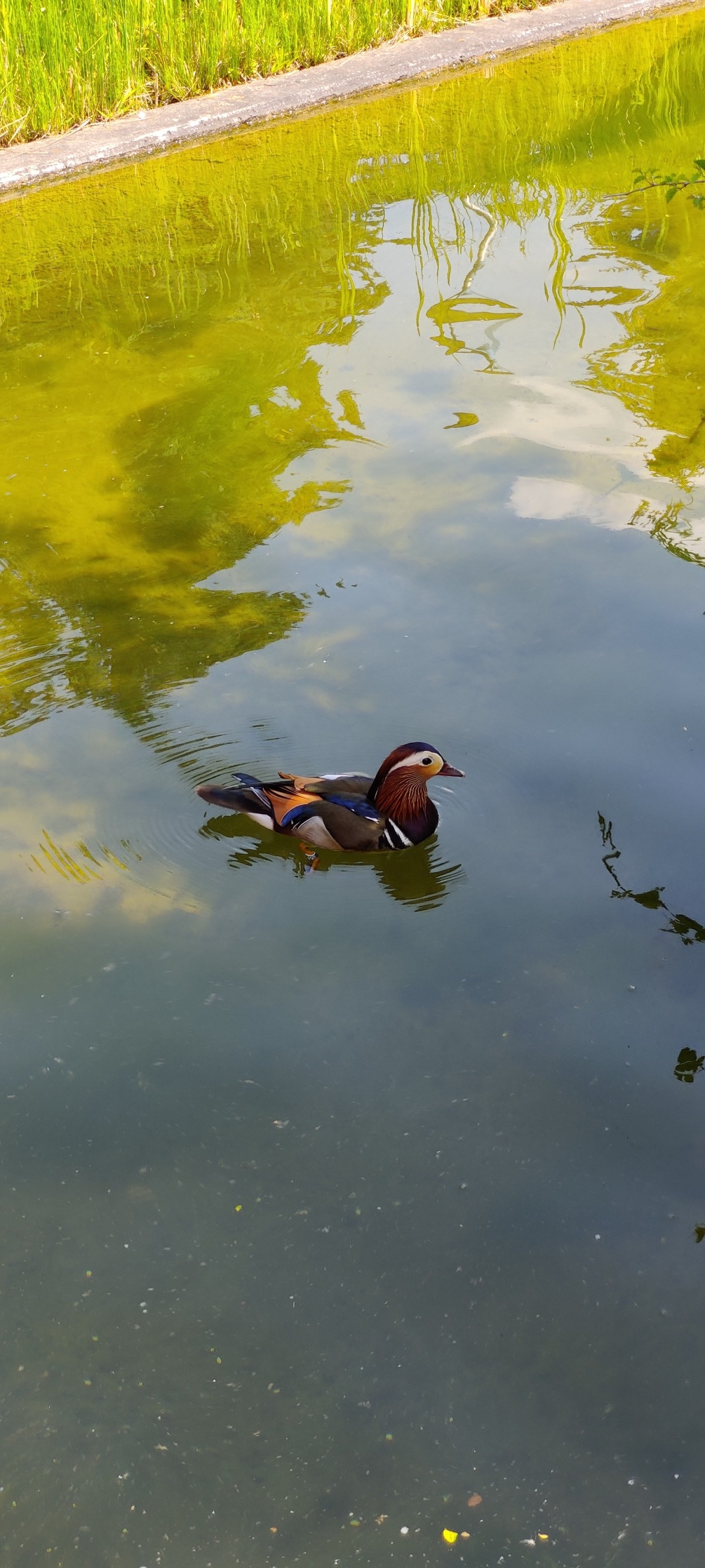 ca60728e-ca89-49bd-baea-fae9ebf19e4e