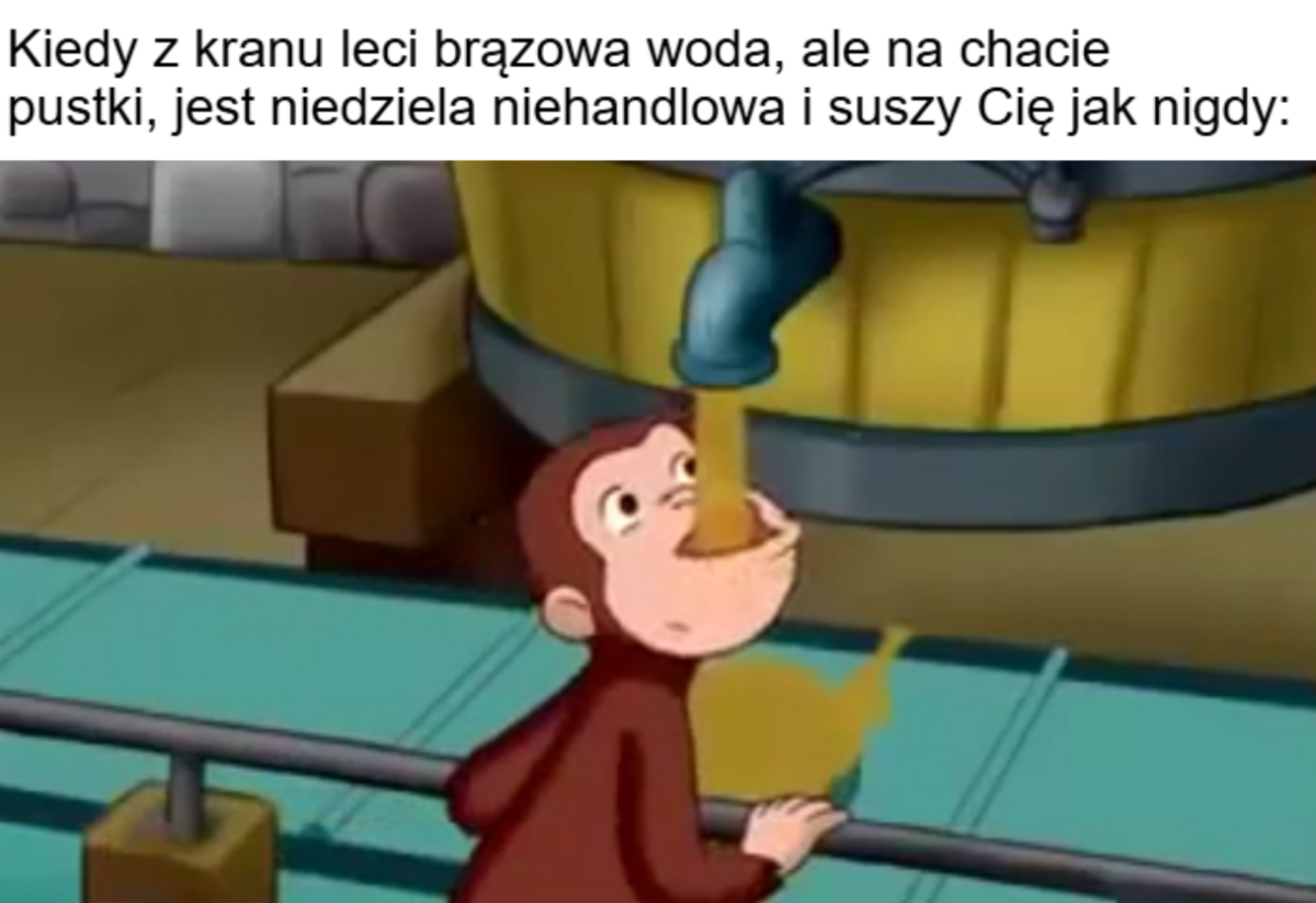 13dc6202-4076-4fb8-8e7f-9df7de7f6cab