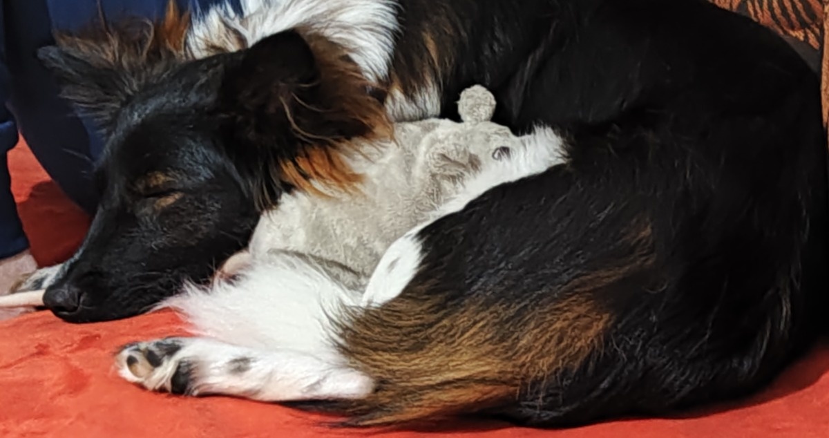 9ab60411-9206-4b50-a228-5b2b343f8c36