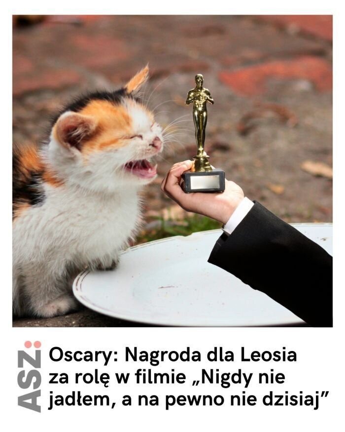 add344f7-218a-48a9-b152-ceee0734fbea