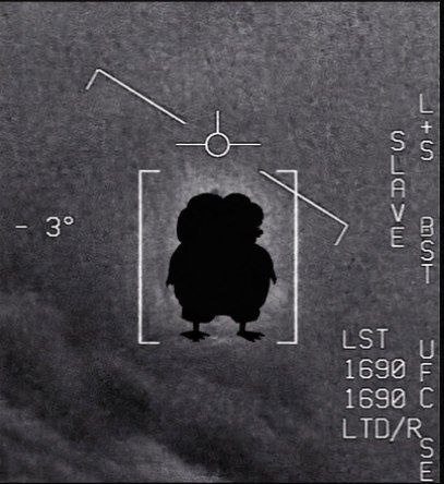 967976b1-2c20-49ce-8d6e-0645e8facae9