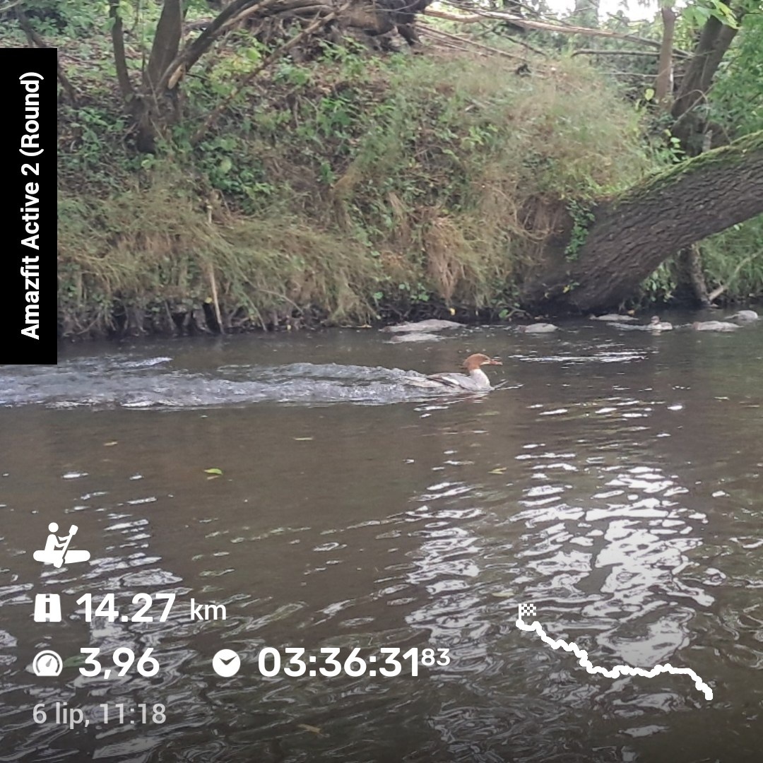 b19c883b-8646-4bfa-8940-8cf9b91af11f