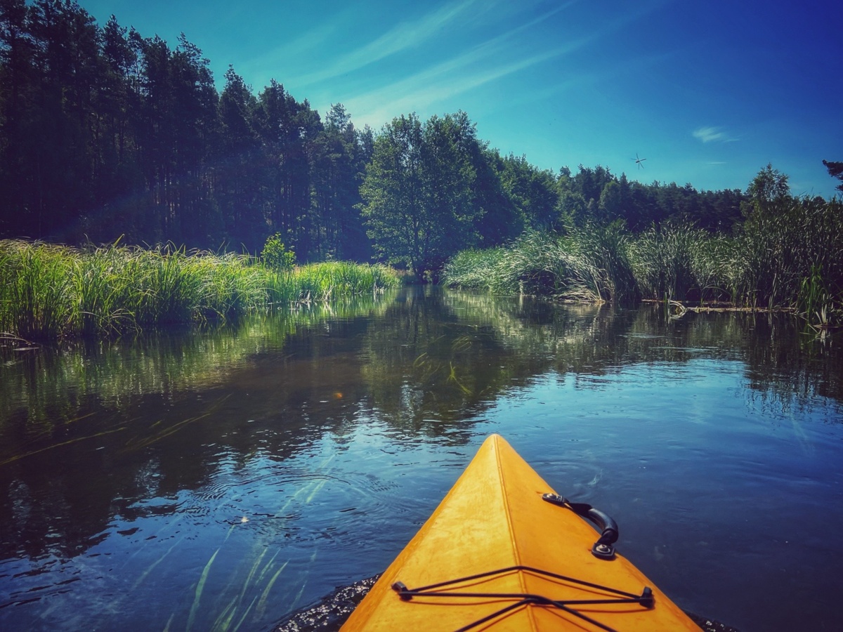 d0e4a9eb-eeca-41d9-8b09-9c4040273410