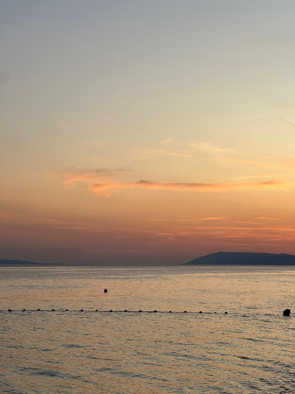 2facc921-a778-481d-bc66-3c787b328d92