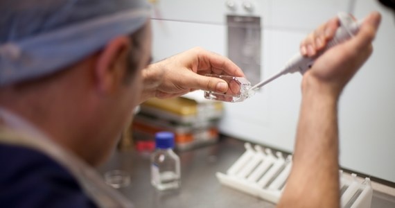 Niebezpieczny dawca spermy. Domaga się praw rodzicielskich