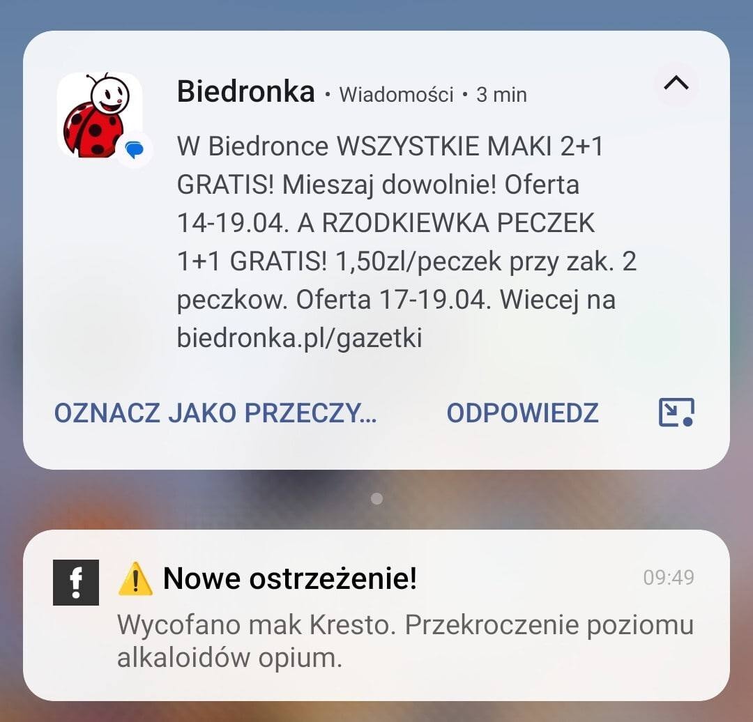 80064a8f-e0a8-4bd8-8b6d-97aca691bc43