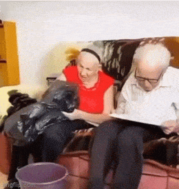 86ad20b6-f20f-4bb6-9e03-9558d1915d82