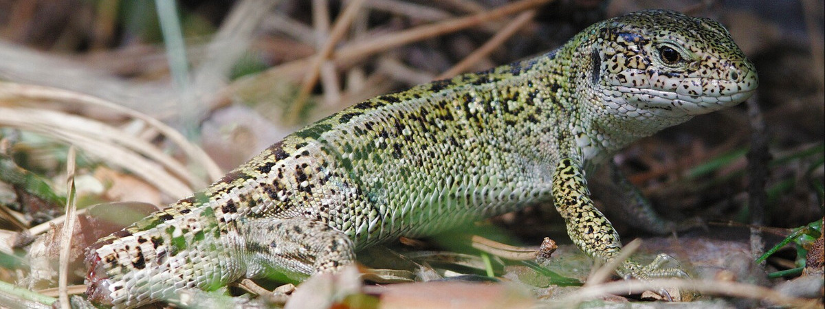 9142ead0-2c1f-4b79-95b4-dbafc1625054