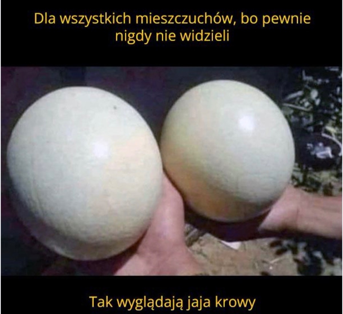 c765fd35-c90a-4b31-827b-980bb60ed36b