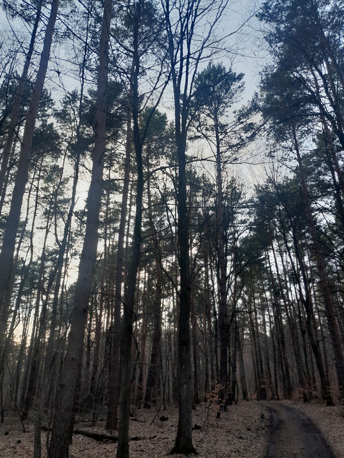 a62d39de-0d87-450c-8841-6046bde474d0