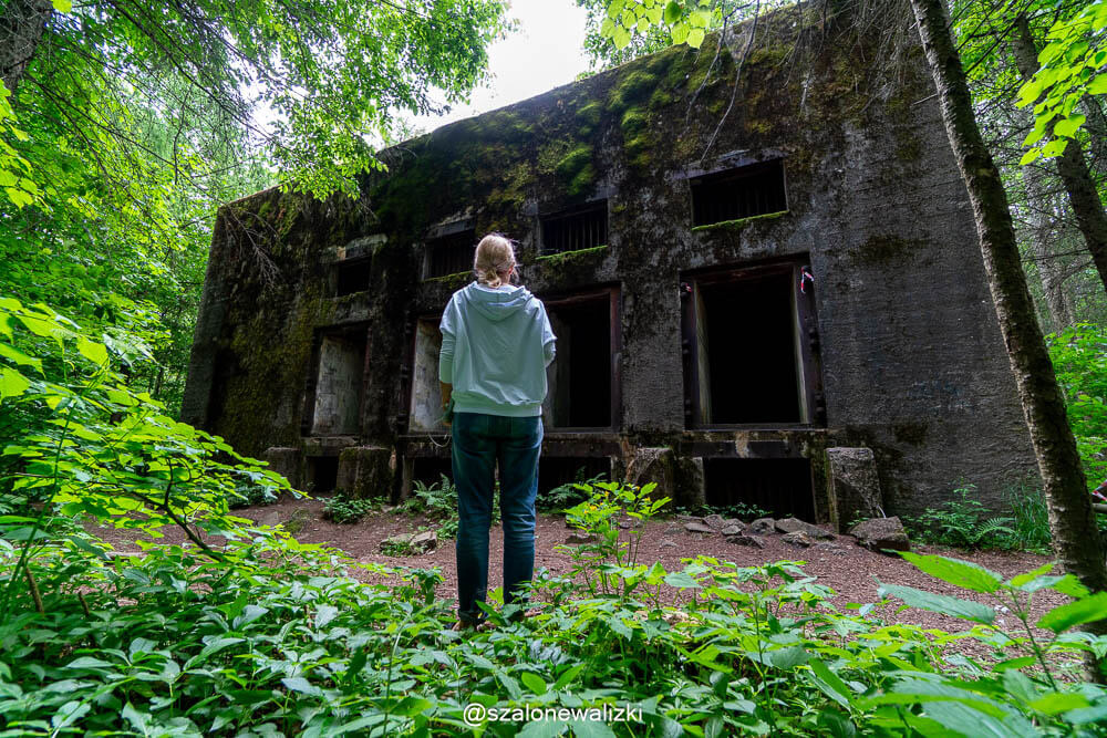 Mamerki bunkry Wermachtu na Mazurach - co warto wiedzieć