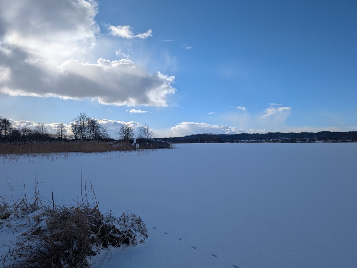 0a85eaa3-ea78-465a-9568-7c9316e73ee5