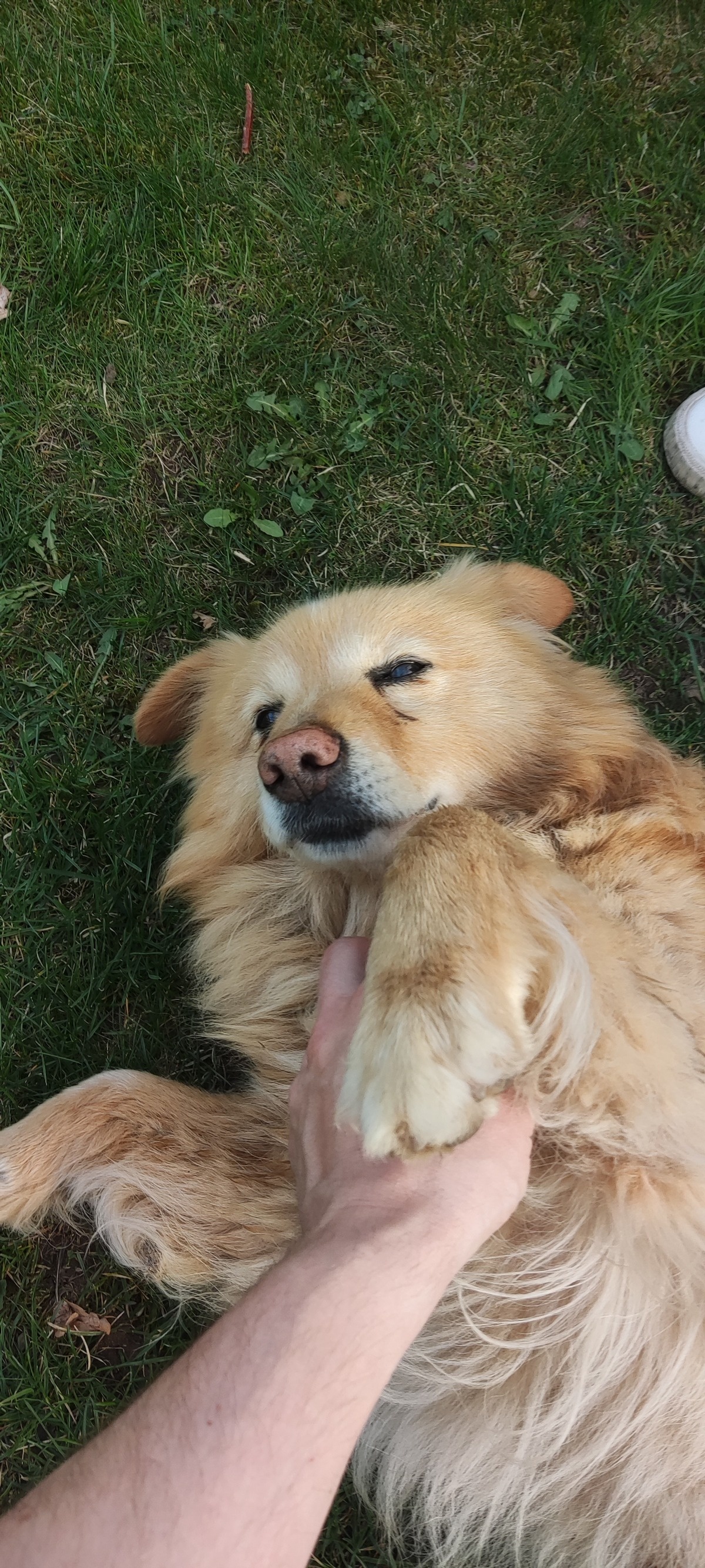 faeee510-6ece-4b9d-a4b6-bd1098eb4975