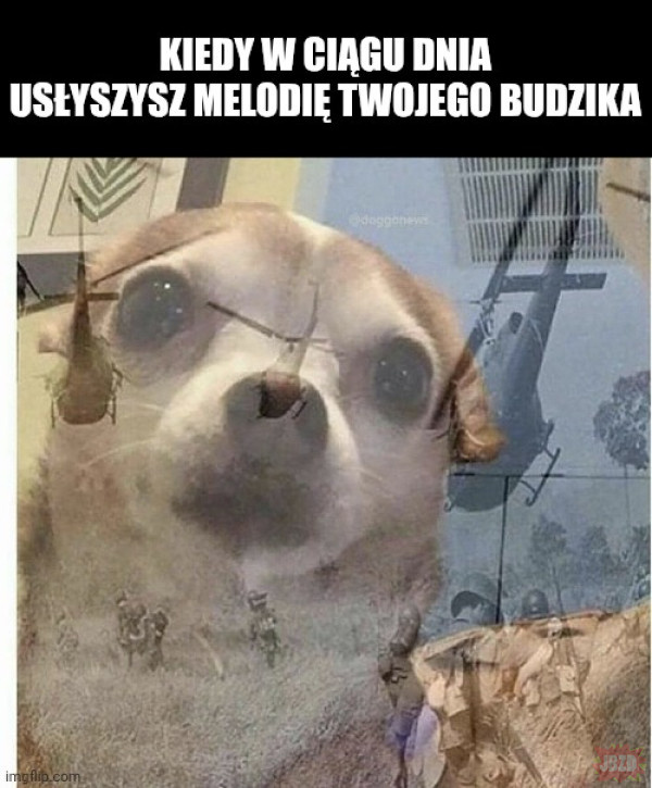 edfd6278-d746-4fc1-b015-b3b8d9cc0321